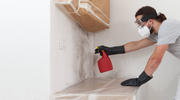 Professional Crawl Space Mold Removal technician working in Glenwood Landing, NY