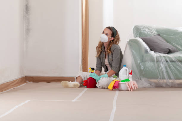 Trusted Crawl Space Mold Removal service in Glenwood Landing, NY - WQB Mold Removal